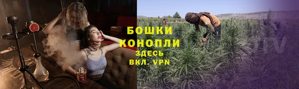 ГАЛЛЮЦИНОГЕННЫЕ ГРИБЫ Армянск