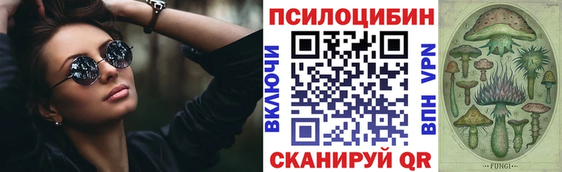 купить наркотики сайты  Тайшет  Псилоцибиновые грибы GOLDEN TEACHER 